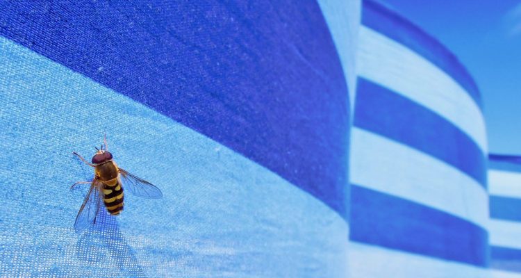 Holistic Skin Care Center | Doctor Masouri - Τσίμπημα Μέλισσας-Σφήκας